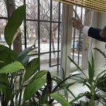 Как уберечь имущество от пристава и кредиторов?
